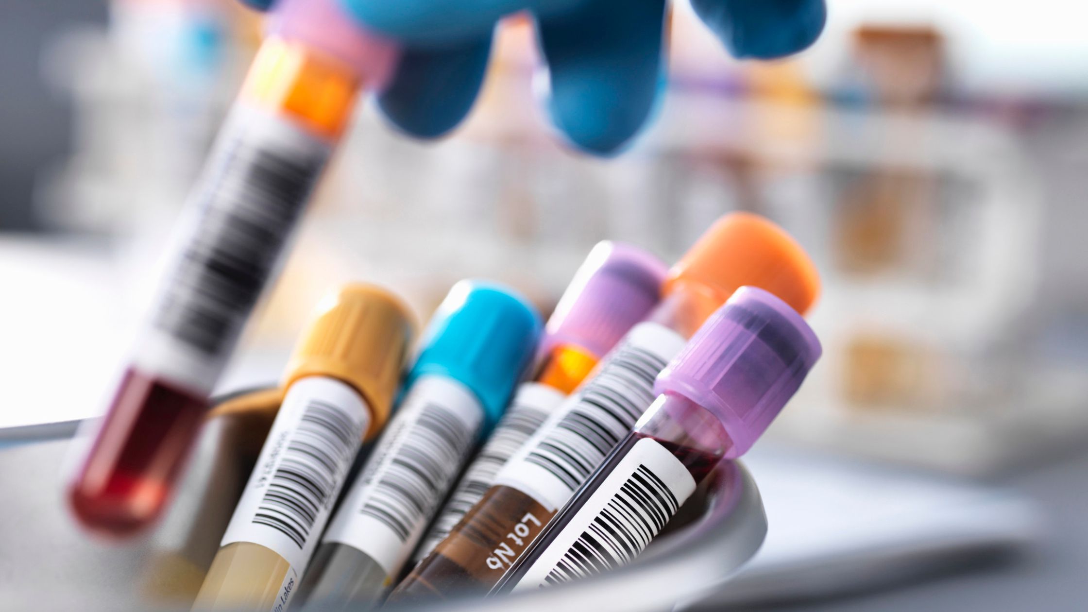 Blog Post Photos 2024 7 v2