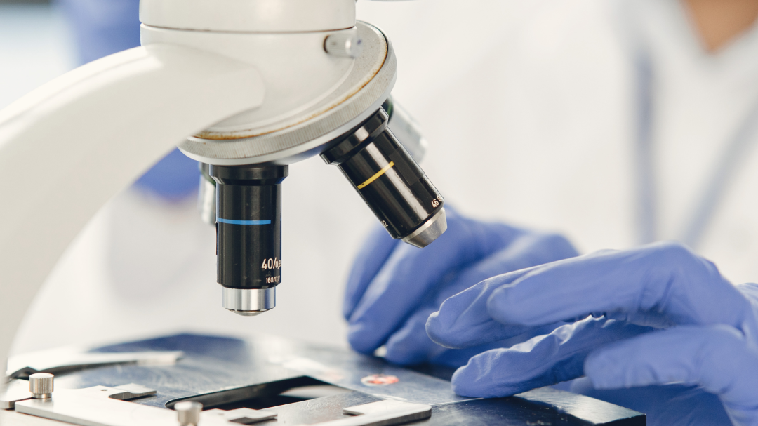 How Custom Kitting Enhances Operational Efficiency | BioTouch